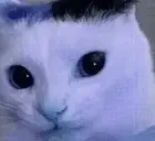 bluefuh emote for Discord