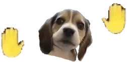bleroblero emote for Discord