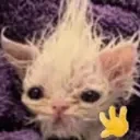 blewave emote for Discord