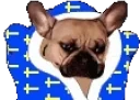BLANKIES emote for Discord