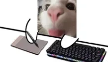 blepOsu emote for Discord