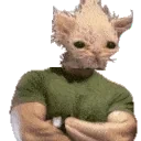 blellyApprove emote for Discord