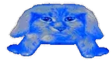 blueing emote for Discord