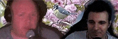 bluebird emote for Discord