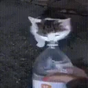 BLAST emote for Discord