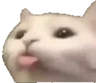 Bleps2u emote for Discord
