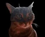 blabla emote for Discord