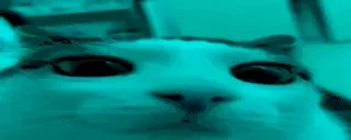 blink emote for Discord