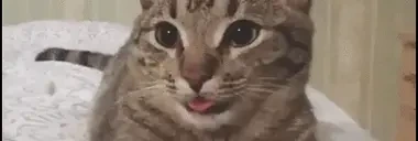 bluh emote for Discord