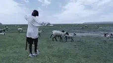 blessed emote for Discord