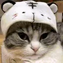 blud emote for Discord