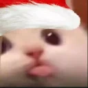 blaSpin emote for Discord