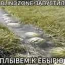 blindzonelive emote for Discord