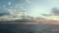 BlackPearl emote for Discord