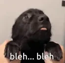 bleh emote for Discord