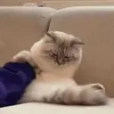 BlueCuddle emote for Discord