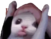 Blawheel emote for Discord