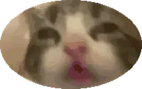 bluhCircle emote for Discord