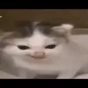 blessdess emote for Discord