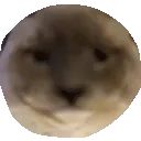 blueball emote for Discord