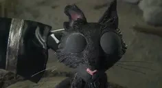 BlackCAT emote for Discord