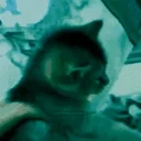 bluesoeepy emote for Discord