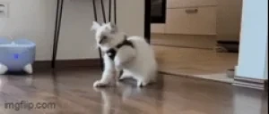 Blue emote for Discord