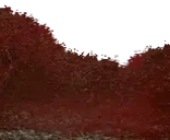 Blood emote for Discord