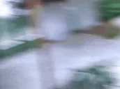 blueVixen emote for Discord