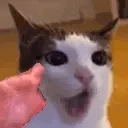 blabla emote for Discord