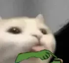 BlehhhRightNow emote for Discord