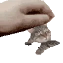 bluepets emote for Discord