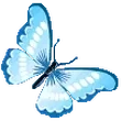 bluebutterfly emote for Discord