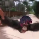 BlurrSpin emote for Discord