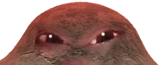 bloodisboiling emote for Discord