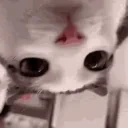 blink emote for Discord