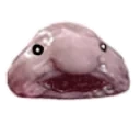 blobPog emote for Discord