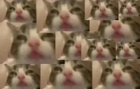 blus emote for Discord