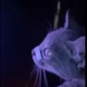 bladerunner emote for Discord