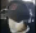 bmstrFoliage emote for Discord