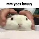 bnuuy emote for Discord