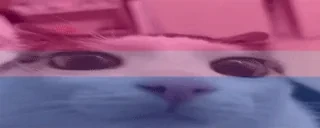 biplink emote for Discord