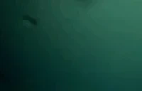 Binoculars emote for Discord