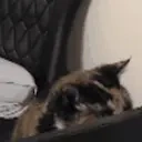 BitsyAttack emote for Discord