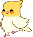 birbdance emote for Discord