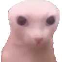 bingusBoogie emote for Discord