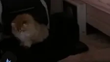 BisouLeave emote for Discord