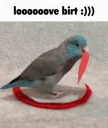 BirdLove emote for Discord