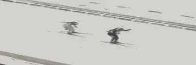 biathlon emote for Discord