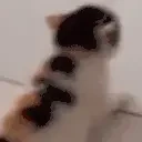 binkycleanup emote for Discord